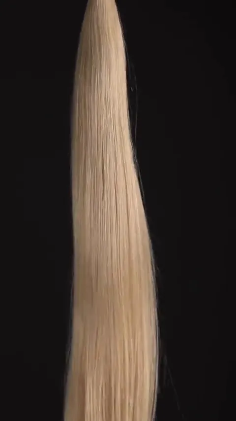 24.1