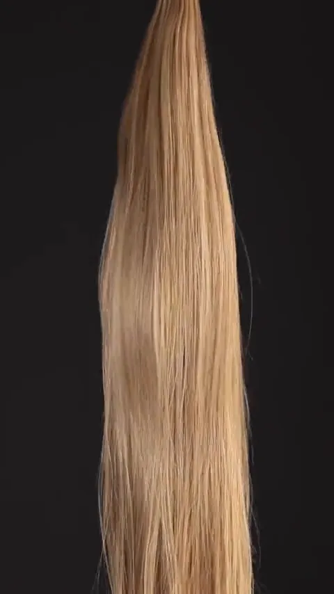 H16/8