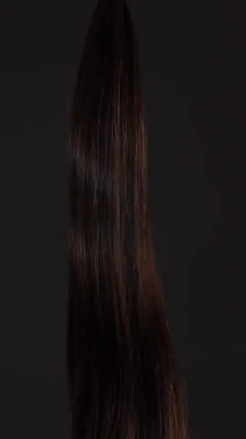 H1/2/6