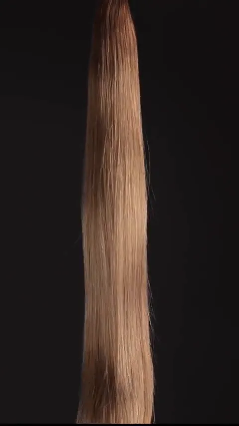 RO8/11